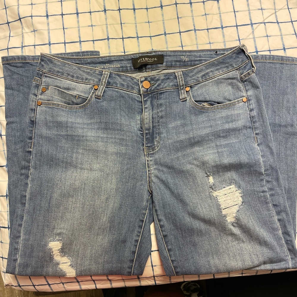 Jeans by Liverpool. Never worn!